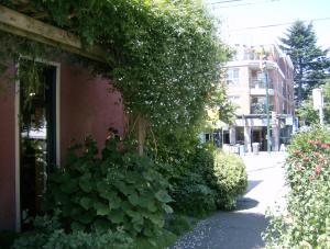 Banyen Bookstore's secret side garden, on Dunbar St.